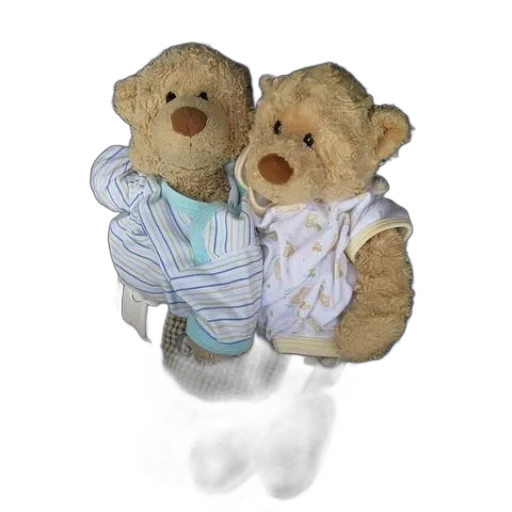 3d render, two, teddy, bears transparent PNG cut-out
