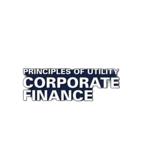 principles, utility, corporate, finance transparent PNG cut-out