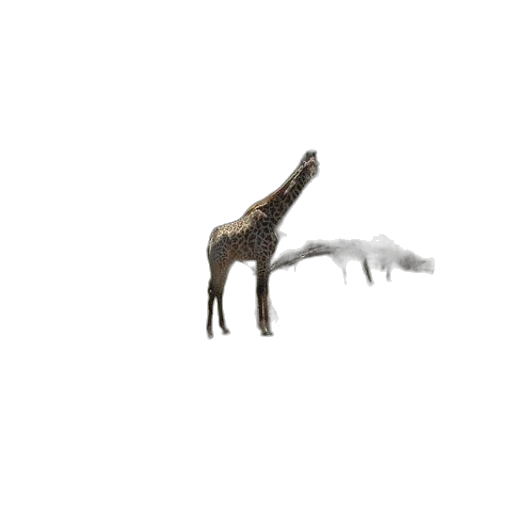 animal, creature, dragon, weapon transparent PNG cut-out