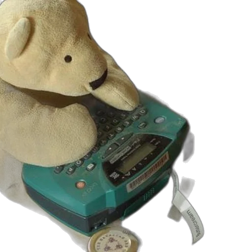 teddy, bear, sitting, label transparent PNG cut-out
