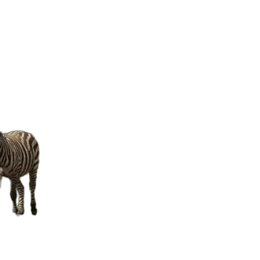 animal, furniture, creature, staff transparent PNG cut-out