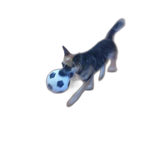 animal, weapon, staff, creature transparent PNG cut-out