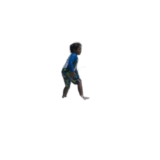shoes, creature, dress, animal transparent PNG cut-out