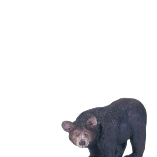 animal, creature, staff, face transparent PNG cut-out