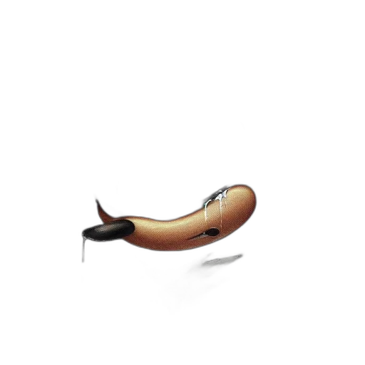 shoes, food, weapon, furniture transparent PNG cut-out
