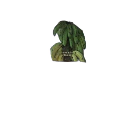 jacket, hat, tree, food transparent PNG cut-out