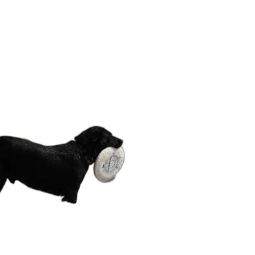 jewelry, animal, staff, shoes transparent PNG cut-out