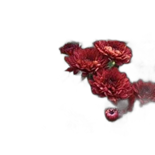 dragon, jewelry, flower, crown transparent PNG cut-out