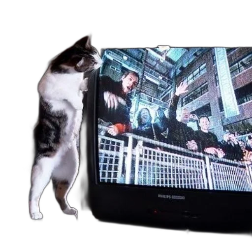 cyberpunk, cat, stands, table transparent PNG cut-out