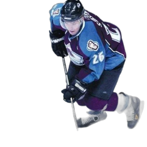animal, weapon, hockey, player transparent PNG cut-out