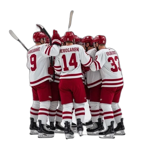 staff, boston, college, hockey transparent PNG cut-out