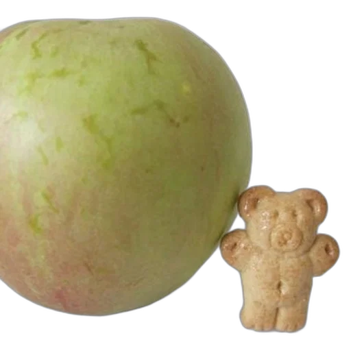food, crown, creature, mask transparent PNG cut-out