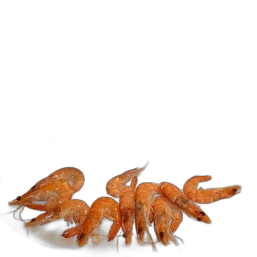 animal, food, creature, crown transparent PNG cut-out