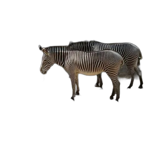 animal, creature, furniture, weapon transparent PNG cut-out