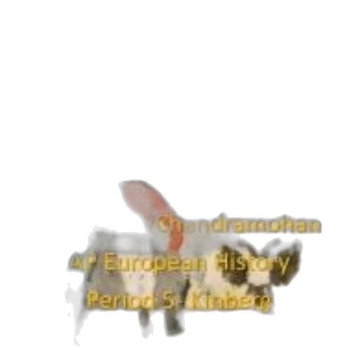 animal, weapon, food, creature transparent PNG cut-out