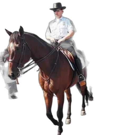 animal, staff, hat, photorealistic transparent PNG cut-out