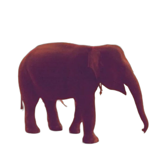 animal, creature, staff, jewelry transparent PNG cut-out