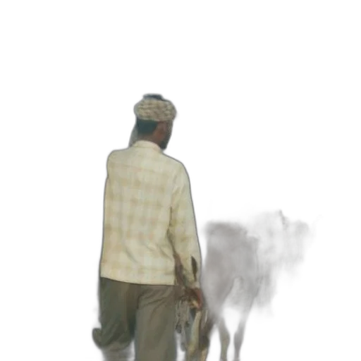 animal, staff, creature, jacket transparent PNG cut-out