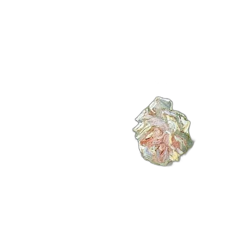 jewelry, flower, crown, food transparent PNG cut-out