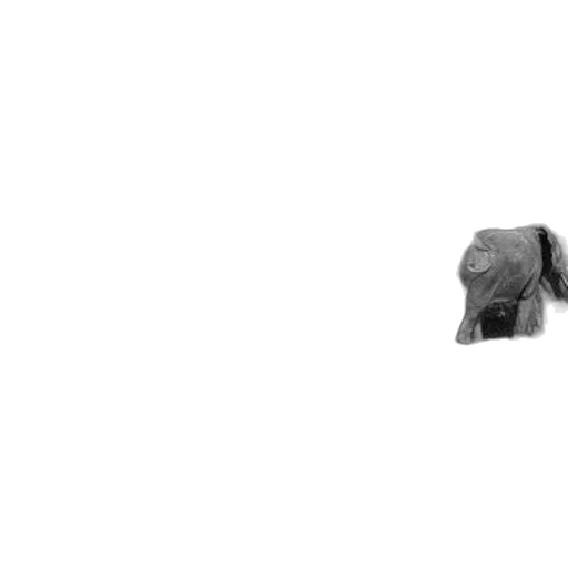 animal, hat, robot, hair transparent PNG cut-out