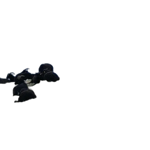 weapon, robot, staff, jewelry transparent PNG cut-out