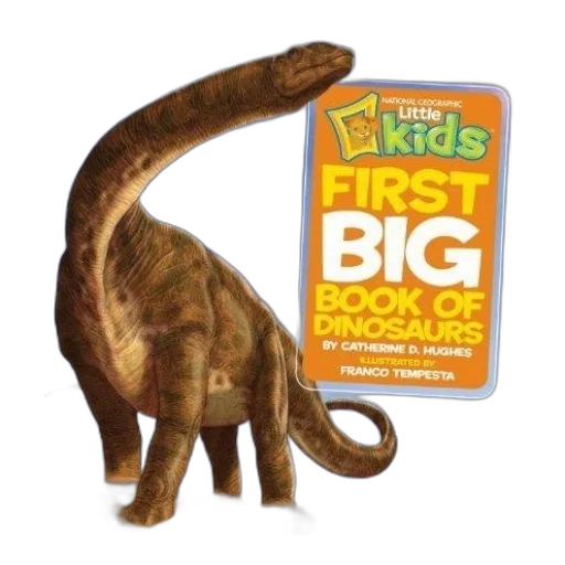 creature, animal, dragon, 3d render transparent PNG cut-out
