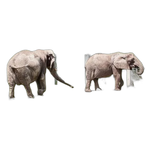 animal, creature, concept art, 3d render transparent PNG cut-out