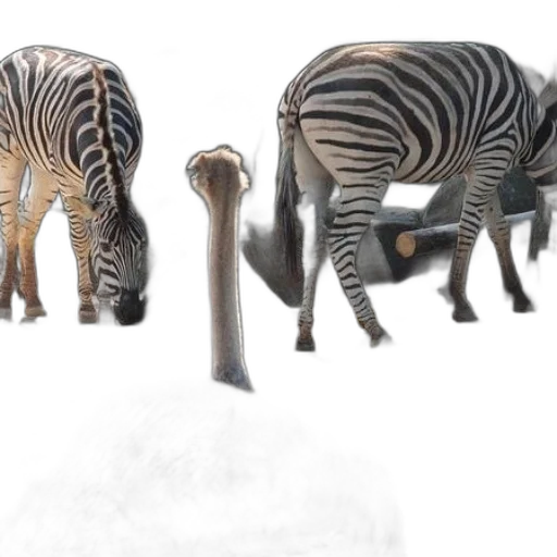 animal, furniture, jewelry, weapon transparent PNG cut-out