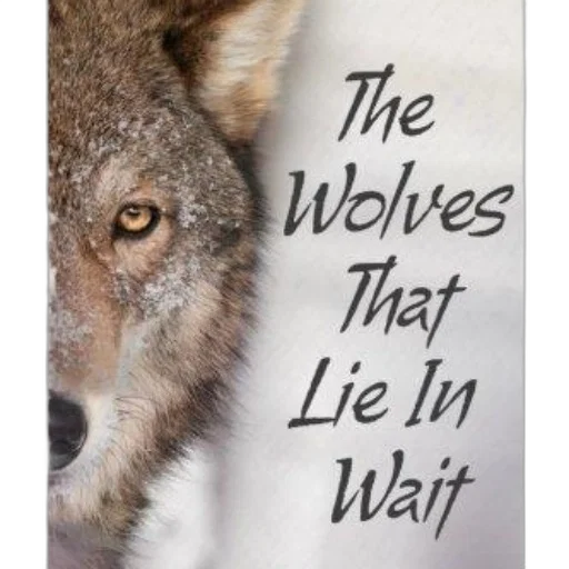 animal, weapon, wolves, lie transparent PNG cut-out