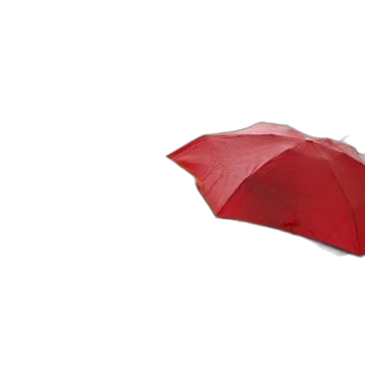 umbrella, hat, jacket, staff transparent PNG cut-out