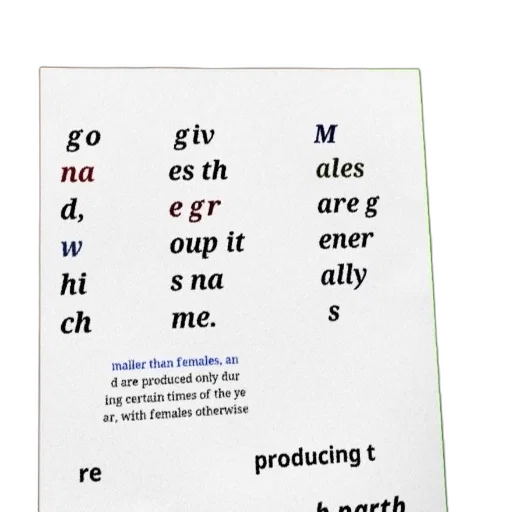 forest, text-based, image, discussing transparent PNG cut-out