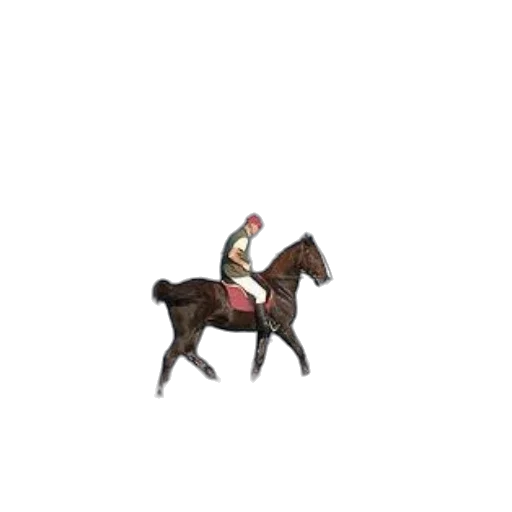 hat, crown, staff, animal transparent PNG cut-out