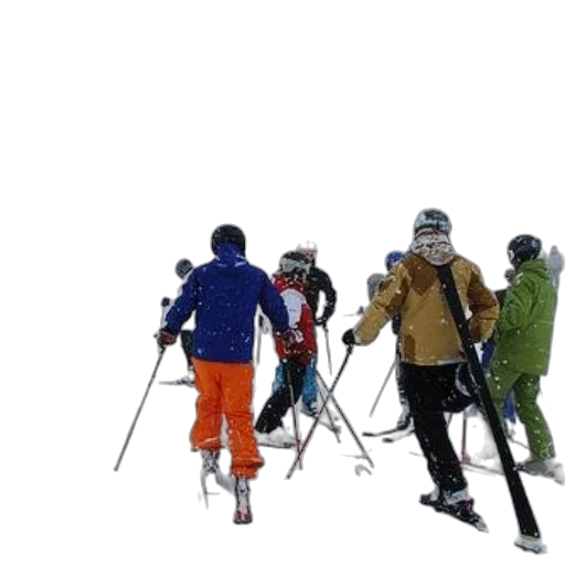 staff, snow, group, skiers transparent PNG cut-out