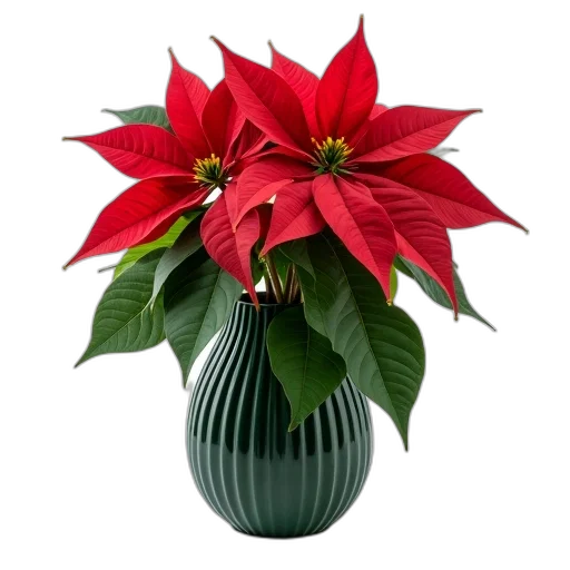 flower, crown, photorealistic, 3d render transparent PNG cut-out