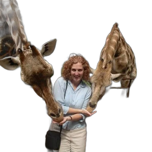 animal, staff, creature, woman transparent PNG cut-out