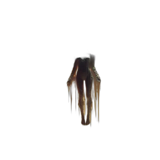 hair, creature, mask, animal transparent PNG cut-out