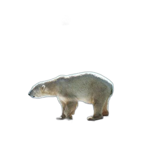 animal, creature, staff, weapon transparent PNG cut-out