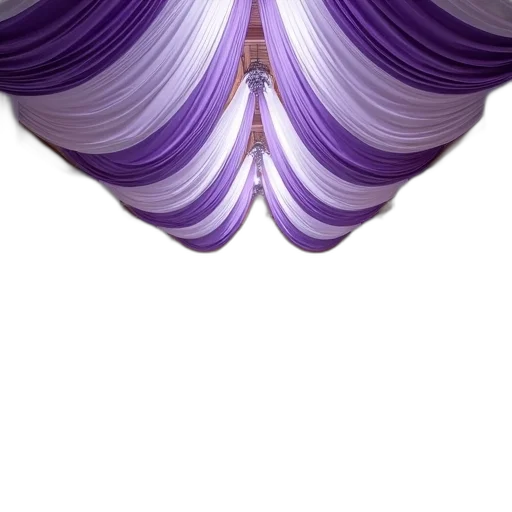 crown, hair, jewelry, hat transparent PNG cut-out