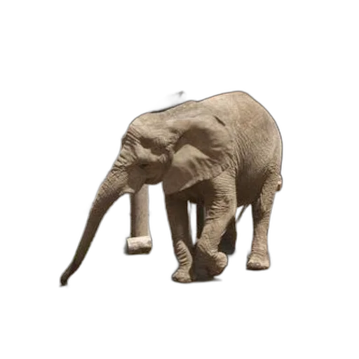 animal, creature, staff, weapon transparent PNG cut-out