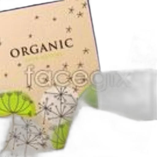 food, face, flower, photorealistic transparent PNG cut-out