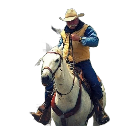 jacket, staff, animal, weapon transparent PNG cut-out
