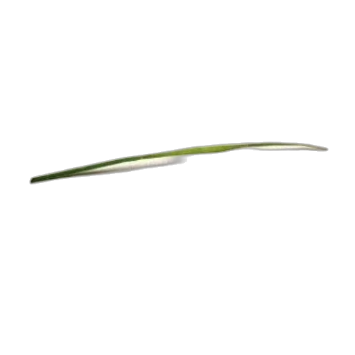 staff, weapon, flower, sword transparent PNG cut-out