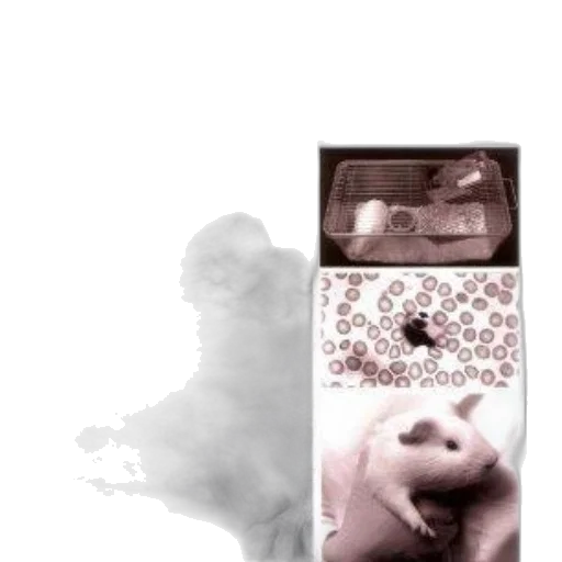 mask, face, car, robot transparent PNG cut-out