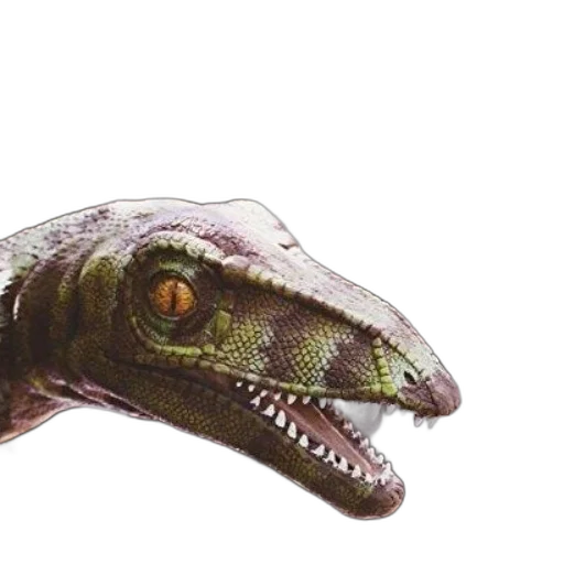 dragon, creature, animal, staff transparent PNG cut-out