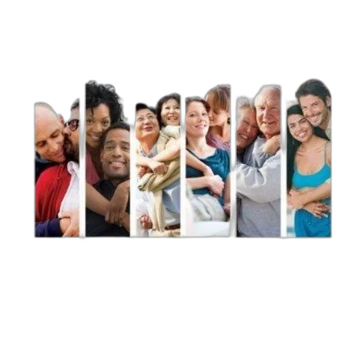 cover, human, sexuality, diversity transparent PNG cut-out