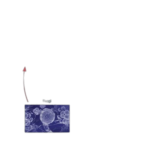 umbrella, staff, sword, weapon transparent PNG cut-out