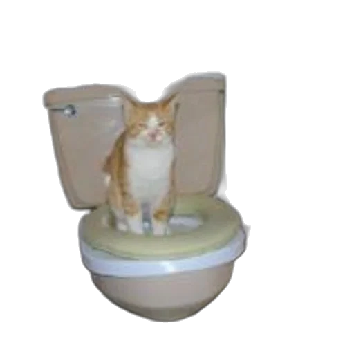 animal, furniture, robot, creature transparent PNG cut-out