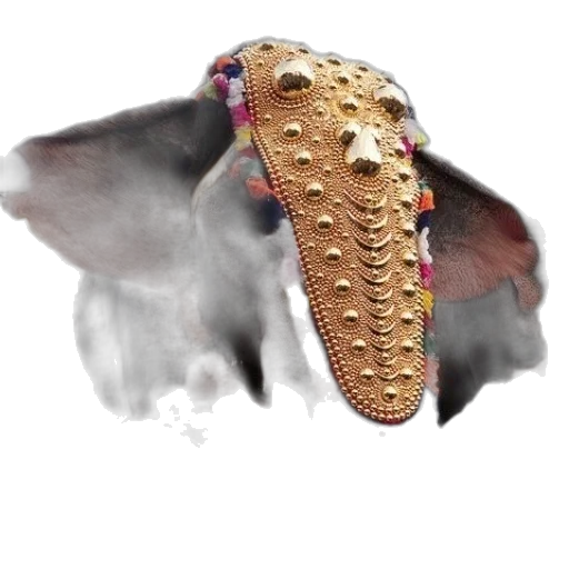 mask, shoes, dragon, creature transparent PNG cut-out