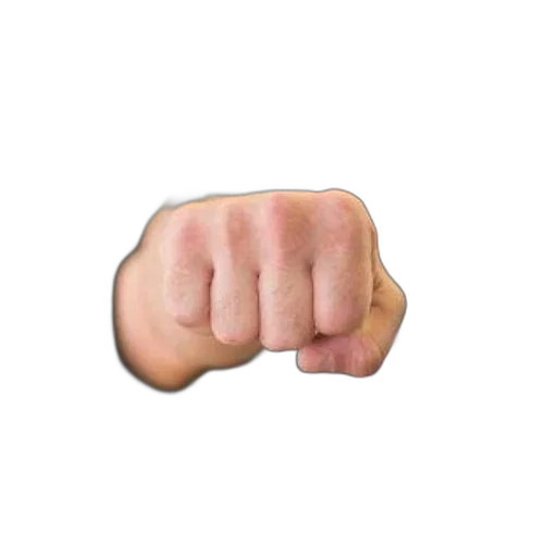 weapon, jacket, animal, face transparent PNG cut-out