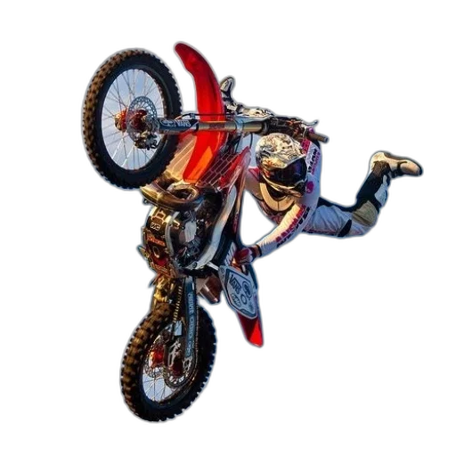 jewelry, weapon, animal, robot transparent PNG cut-out